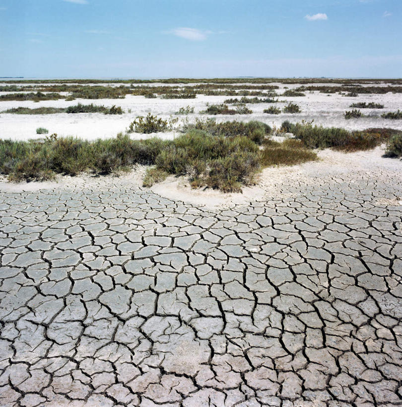 无人,农田,竖图,俯视,室外,白天,庄稼,农作物,植物,阴影,干裂,光线,影子,泥土,土壤,云,云朵,云彩,蓝色,绿色,白云,蓝天,天空,阳光,天,生长,晴朗,成长,干旱,贫瘠,瘠薄,晴空,彩图,高角度拍摄,耕地,庄稼田