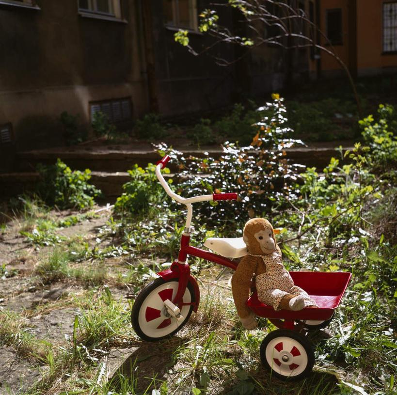 无人,横图,俯视,室外,白天,游戏,草地,草坪,植物,野生动物,猩猩,玩具,一辆,阴影,光线,影子,墙,枝条,玩,娱乐,墙壁,墙面,车,草,树,树木,树枝,一个,绿色,阳光,动物,童车,休闲,益智,活泼,单个,活动,消遣,载具,黄猩猩,折叠童车,虬枝,枝杈,红猩猩,红毛猩猩,玩耍,嬉戏,彩图,高角度拍摄