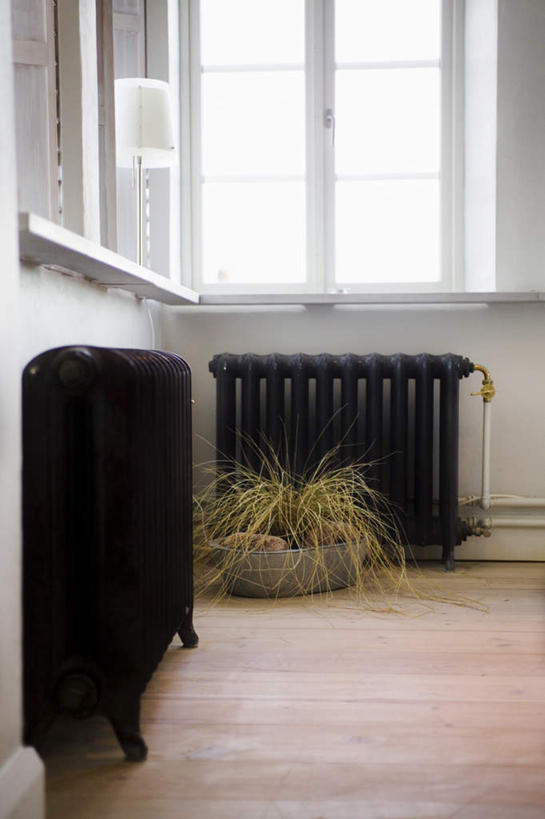 无人,竖图,室内,白天,正面,植物,窗户,台灯,照明,一排,阴影,整齐,装饰,光线,盆栽,影子,灯光,盆景,取暖器,玻璃窗,灯,排列,绿色,自然,灯具,生长,成长,华丽,修饰,照亮,点缀,照明设备,队列,衬托,美观,雅致,雅观,彩图,散热器