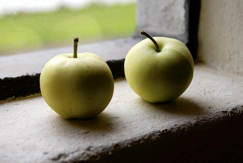 无人,横图,俯视,室内,特写,白天,窗户,苹果,水果,阴影,形状,新鲜,光线,影子,灯光,生食,食品,果实,玻璃窗,窗台,食物,两个,绿色,有机食品,绿色食品,形态,外形,黄香蕉,黄元帅,金冠苹果,金帅,彩图,高角度拍摄