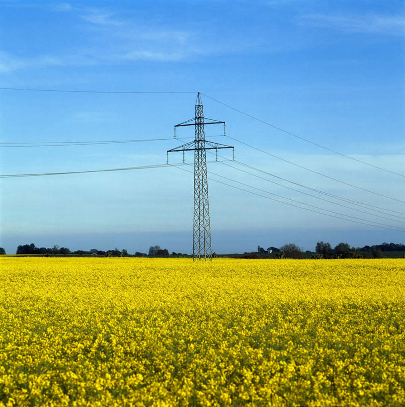 无人,农田,竖图,室外,白天,正面,旅游,度假,庄稼,农作物,花海,花圃,美景,植物,叶子,阴影,盛开,电力,光线,钢材,电缆,电线,线,影子,支架,景观,云,云朵,电能,线路,花蕾,云彩,娱乐,电塔,花,花瓣,花朵,花卉,鲜花,黄色,蓝色,绿色,白云,蓝天,天空,阳光,自然,花丛,花束,花田,天,花苞,花蕊,油菜花,享受,休闲,景色,放松,能源,晴朗,电,支撑,电源,电源线,资源,自然风光,供电设备,能量,高压电塔,高压输电线,高压电线塔,高压塔,晴空,彩图,耕地,庄稼田,芸苔,芸薹,输电铁塔,输电塔
