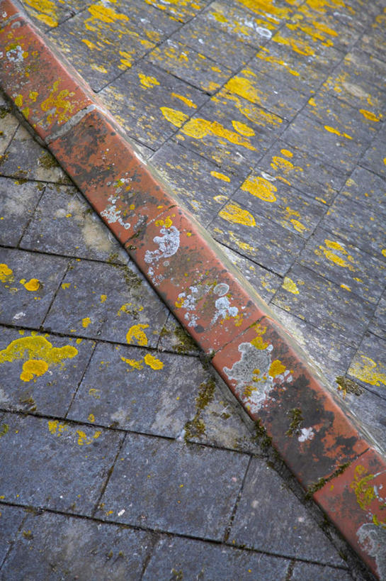 无人,家,竖图,俯视,室外,白天,旅游,度假,植物,建筑,一排,一幢,阴影,整齐,光线,瓦片,影子,房屋,屋子,瓦,娱乐,楼房,住宅,排列,绿色,阳光,自然,享受,休闲,放松,建造,生长,成长,队列,屋瓦,彩图,高角度拍摄,房子