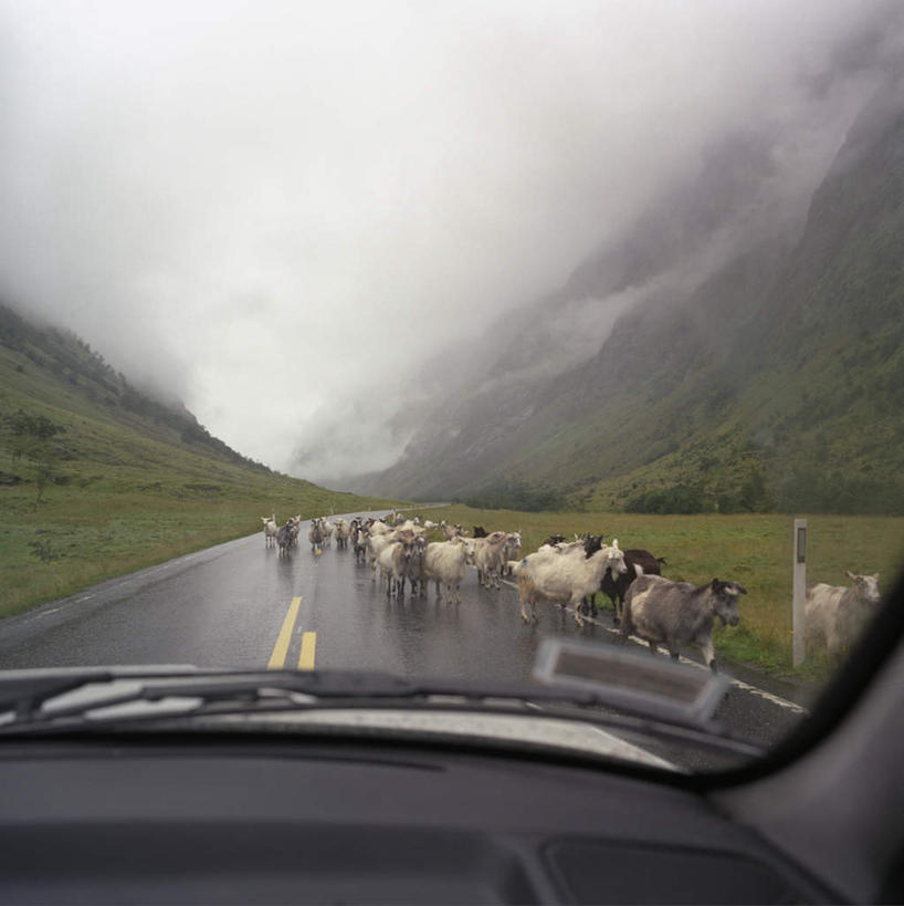 无人,走,竖图,俯视,室外,白天,草地,草坪,美景,山,山脉,雨,植物,暴雨,雾,大雨,道路,路,公路,汽车,羊,一辆,一群,许多,朦胧,模糊,平静,景观,山峰,乌云,云,阴天,云朵,交通,山峦,很多,云彩,车,草,绿色,天空,自然,动物,交通工具,轿车,群山,天,家畜,景色,安静,牲畜,宁静,细雨,迷雾,昏暗,阴沉,静谧,自然风光,载具,沉静,恬静,安祥,僻静,清静,太平,跟从,跟随,追随,大雾,小雨,马路,绵羊,步行,走路,彩图,高角度拍摄,全身