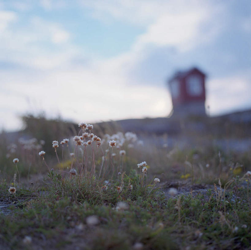 无人,横图,室外,白天,仰视,旅游,度假,草地,草坪,美景,植物,道路,瑞典,欧洲,一座,阴影,朦胧,模糊,盛开,光线,信息,影子,景观,云,云朵,野花,灯塔,交通,花蕾,云彩,方向,娱乐,草,花,花瓣,花朵,鲜花,蓝色,白云,蓝天,天空,阳光,自然,天,花苞,花蕊,享受,休闲,景色,放松,晴朗,引导,指引,斯堪的纳维亚,自然风光,北欧,斯堪的纳维亚半岛,航标,布胡斯,瑞典王国,晴空,彩图,低角度拍摄,导航