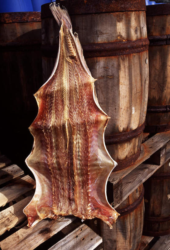 无人,竖图,室外,白天,正面,吊挂,晾晒,悬挂,阴影,条纹,干燥,光线,木板,木材,木桶,桶,影子,挂,阳光,容器,木料,储藏,储存,毛皮,晾干,彩图,贮存