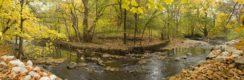 无人,横图,室外,白天,正面,旅游,度假,草地,草坪,河流,礁石,石头,美景,水,植物,叶子,加拿大,石子,河水,景观,水流,枯叶,落叶,娱乐,草,树,树木,绿色,倒影,自然,享受,休闲,景色,放松,生长,成长,倒映,北美,北美洲,自然风光,美洲,多伦多,省会,北亚美利加洲,亚美利加洲,安大略省,安省,北方好莱坞,多伦多市,反照,叶,叶片,礁,石块,岩石,彩图