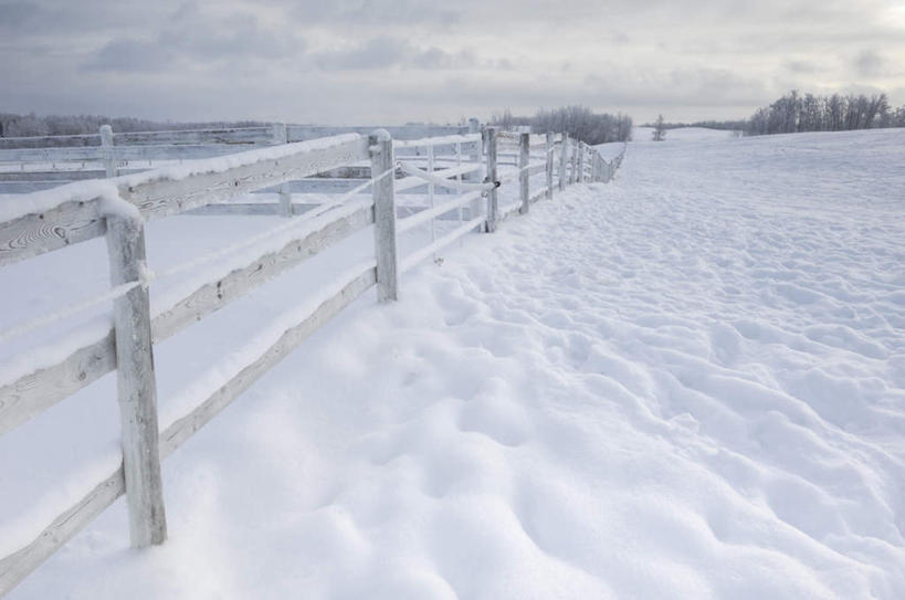 无人,栏杆,横图,室外,白天,正面,旅游,度假,美景,森林,树林,雪,植物,大雪,加拿大,阴影,光线,影子,栅栏,积雪,景观,篱笆,雪景,云,云朵,冬季,冬天,围栏,云彩,娱乐,护栏,树,树木,蓝色,绿色,白云,蓝天,天空,阳光,自然,天,享受,休闲,景色,放松,寒冷,生长,晴朗,成长,北美,北美洲,自然风光,美洲,阿尔伯塔省,阿尔伯塔,北亚美利加洲,亚美利加洲,严寒,艾伯塔,艾伯塔省,晴空,彩图
