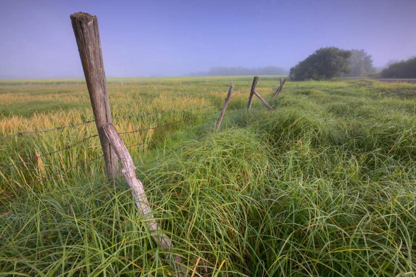无人,栏杆,横图,室外,白天,正面,旅游,度假,草地,草坪,美景,植物,加拿大,阴影,光线,影子,栅栏,地平线,景观,篱笆,围栏,辽阔,地面,娱乐,护栏,草,蓝色,绿色,蓝天,天空,阳光,自然,天,享受,休闲,广阔,景色,放松,晴朗,一望无际,北美,北美洲,自然风光,延伸,美洲,阿尔伯塔省,万里无云,阿尔伯塔,天地相交,北亚美利加洲,亚美利加洲,艾伯塔,艾伯塔省,无边无际,一马平川,晴空,晴空万里,彩图