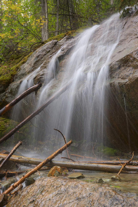 无人,公园,竖图,室外,白天,正面,旅游,度假,礁石,石头,美景,瀑布,森林,树林,水,植物,加拿大,飞溅,溅,石子,液体,景观,水滴,娱乐,水珠,树,树木,绿色,自然,享受,休闲,景色,放松,生长,成长,北美,北美洲,国家公园,喷洒,自然风光,美洲,阿尔伯塔省,阿尔伯塔,北亚美利加洲,亚美利加洲,艾伯塔,艾伯塔省,贾斯珀国家公园,跌水,礁,石块,岩石,彩图