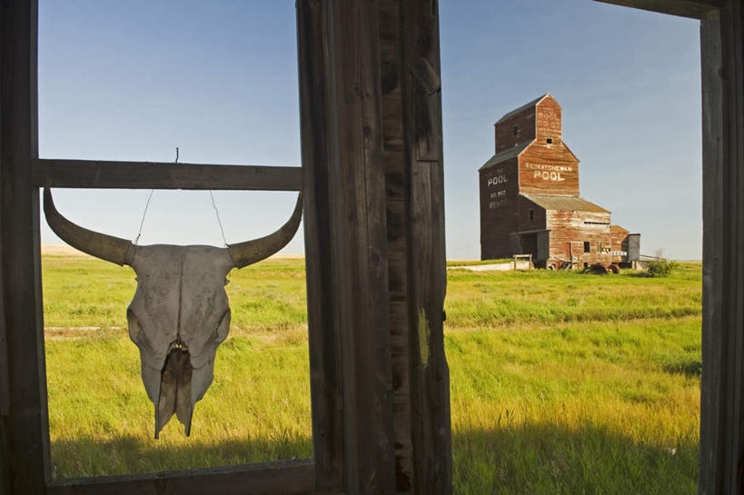骨骼,无人,家,横图,室外,白天,正面,旅游,度假,草地,草坪,美景,植物,加拿大,阴影,光线,影子,房屋,屋子,地平线,景观,辽阔,骨头,地面,娱乐,楼房,住宅,草,蓝色,绿色,蓝天,天空,阳光,自然,天,享受,休闲,广阔,景色,放松,晴朗,一望无际,骨架,北美,北美洲,自然风光,延伸,美洲,万里无云,天地相交,北亚美利加洲,亚美利加洲,萨省,萨斯喀彻温省,无边无际,一马平川,晴空,晴空万里,彩图,房子