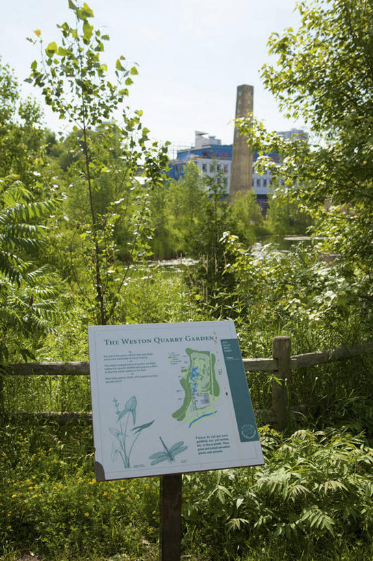 无人,工厂,栏杆,竖图,室外,白天,正面,旅游,度假,草地,草坪,美景,植物,道路,地图,阴影,平静,光线,信息,影子,栅栏,景观,篱笆,围栏,交通,方向,娱乐,护栏,草,树,树木,蓝色,绿色,蓝天,天空,阳光,自然,天,享受,休闲,景色,安静,放松,生长,成长,引导,指引,宁静,静谧,自然风光,沉静,恬静,安祥,僻静,清静,太平,矿场,彩图,工地,制造厂,导航