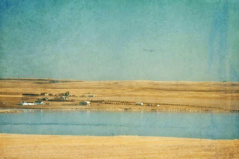 无人,家,横图,室外,白天,正面,草地,草原,草坪,河流,美景,日落,水,植物,加拿大,阴影,波纹,枯萎,光线,影子,房屋,屋子,河水,荒野,景观,旷野,水流,晚霞,霞光,落日,热带,楼房,住宅,草,蓝色,蓝天,水纹,天空,阳光,自然,黄昏,波浪,天,广阔,宽广,景色,彩霞,死亡,北美,北美洲,宽阔,自然风光,原野,美洲,荒原,洛矶山脉,落基山脉,北亚美利加洲,亚美利加洲,广大,亚伯达盆地,夕照,枯败,夕阳,彩图,房子,斜阳