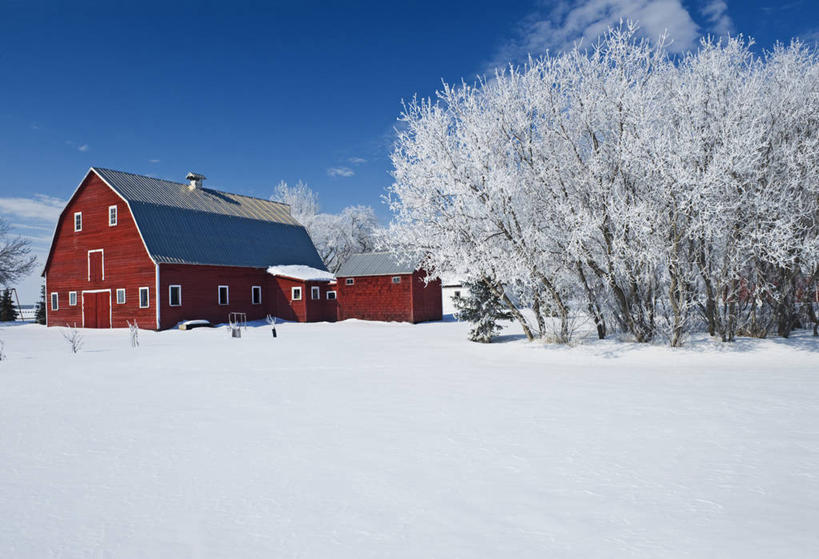 无人,家,横图,室外,白天,正面,美景,雪,植物,大雪,加拿大,一堆,一排,阴影,堆叠,堆积,整齐,光线,影子,房屋,屋子,积雪,景观,雪景,云,云朵,冬季,冬天,云彩,楼房,住宅,树,树木,排列,蓝色,绿色,白云,蓝天,天空,阳光,自然,天,广阔,宽广,景色,寒冷,生长,晴朗,成长,堆,北美,北美洲,队列,宽阔,自然风光,美洲,北亚美利加洲,亚美利加洲,严寒,广大,晴空,彩图,房子