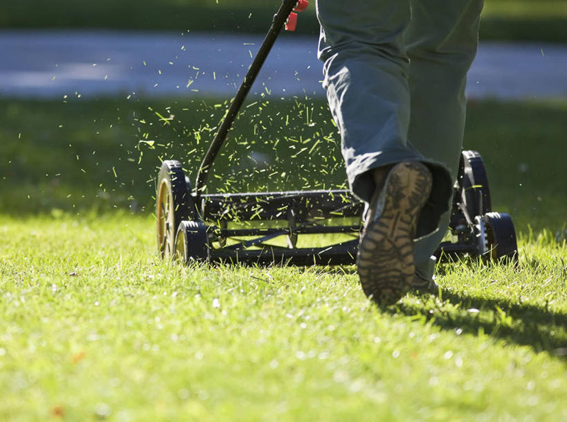 西方人,腿部,腿,一个人,走,推,横图,室外,白天,正面,旅游,度假,草地,草坪,美景,植物,道路,路,欧洲,欧洲人,仅一个年轻女性,仅一个女性,仅一个人,阴影,光线,工具,影子,景观,小路,交通,娱乐,草,一个,绿色,阳光,自然,享受,休闲,器械,景色,放松,割草机,切割,自然风光,锄草,农具,耕具,年轻女性,女人,女性,白种人,步行,散步,走路,半身,彩图