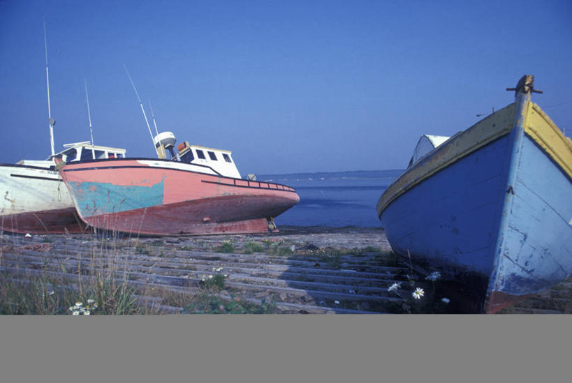 无人,横图,室外,白天,正面,旅游,度假,草地,海浪,海洋,美景,日落,沙滩,植物,船,加拿大,阴影,光线,沙子,影子,海岸,景观,浪花,晚霞,霞光,落日,游艇,沙地,娱乐,桅杆,草,蓝色,绿色,蓝天,天空,阳光,自然,海水,黄昏,交通工具,天,享受,休闲,景色,彩霞,放松,晴朗,北美,北美洲,自然风光,载具,美洲,搁浅,海景,万里无云,北亚美利加洲,亚美利加洲,停顿,夕照,大海,风浪,海,海水的波动,海滩,近岸浪,涌浪,晴空,晴空万里,夕阳,彩图,斜阳