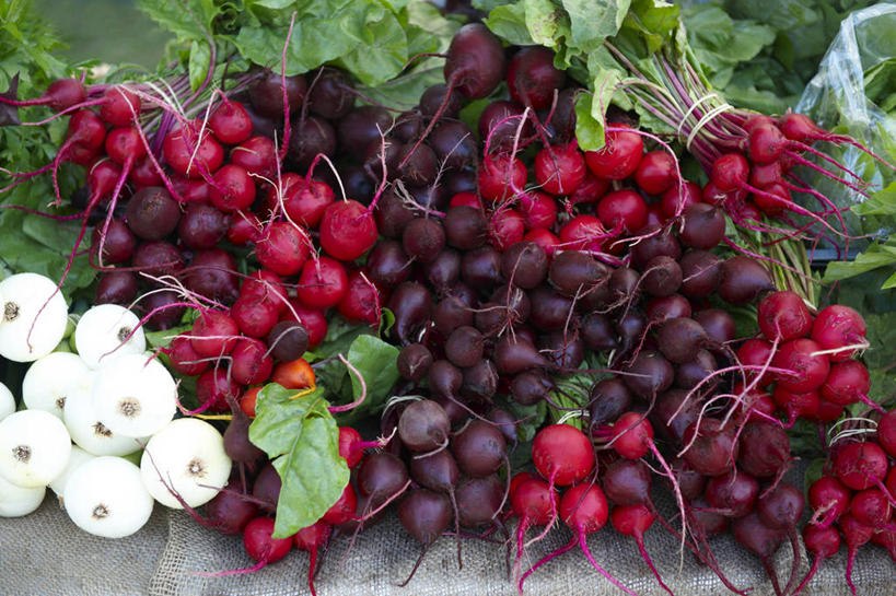 无人,横图,俯视,室外,白天,旅游,度假,美景,蔬菜,洋葱,叶子,加拿大,许多,阴影,新鲜,光线,密集,影子,景观,食品,绿叶,娱乐,食物,红色,阳光,自然,享受,休闲,嫩叶,景色,放松,有机食品,绿色食品,北美,北美洲,自然风光,美洲,多伦多,省会,北亚美利加洲,亚美利加洲,安大略省,安省,北方好莱坞,多伦多市,鳞集,辘集,麋集,叶,叶片,圆葱,洋葱头,球葱,彩图,高角度拍摄