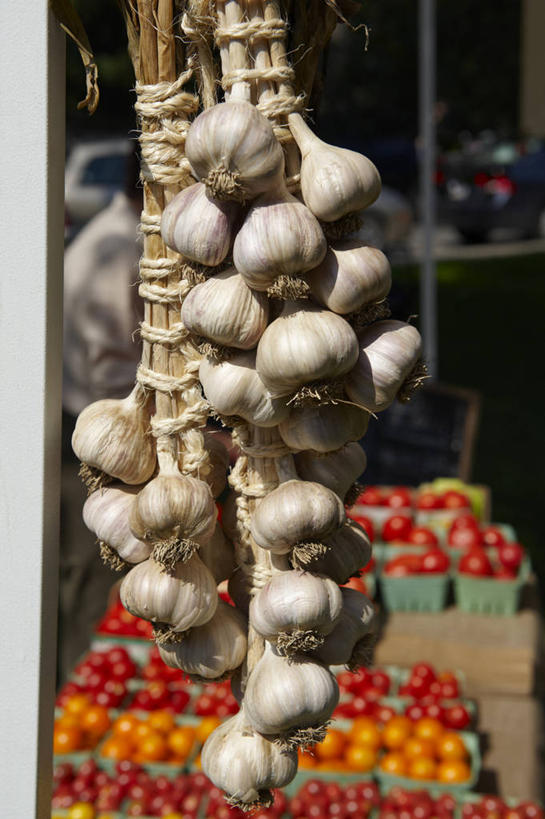 无人,竖图,室外,白天,正面,旅游,度假,蒜,西红柿,加拿大,一堆,阴影,堆叠,堆积,光线,影子,蒜头,娱乐,买卖,盒子,黄色,红色,阳光,享受,休闲,生意,放松,堆,北美,北美洲,交易,业务,美洲,多伦多,省会,北亚美利加洲,亚美利加洲,安大略省,安省,北方好莱坞,多伦多市,胡蒜,番茄,大蒜,彩图