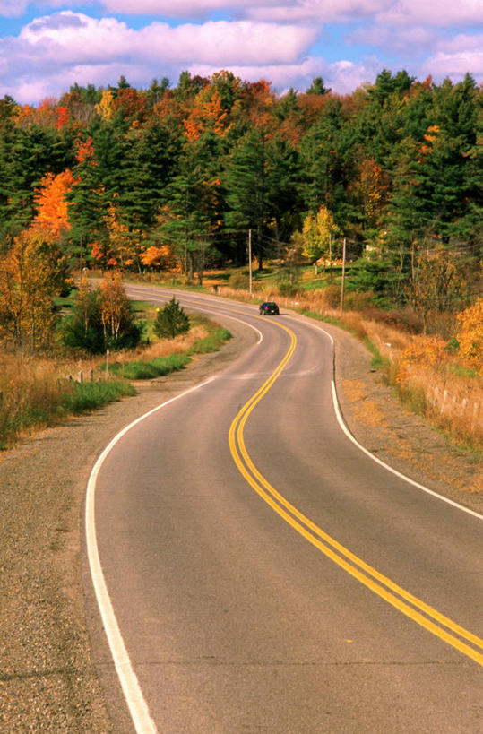 无人,竖图,俯视,室外,白天,旅游,度假,草地,草坪,美景,森林,山,山脉,树林,植物,道路,路,公路,美国,阴影,光线,白线,影子,景观,山峰,云,云朵,交通,山峦,云彩,娱乐,草,树,树木,蓝色,绿色,白云,蓝天,天空,阳光,自然,群山,天,享受,休闲,景色,放松,黄线,生长,晴朗,成长,北美,北美洲,自然风光,美洲,北亚美利加洲,亚美利加洲,晴空,马路,彩图,高角度拍摄