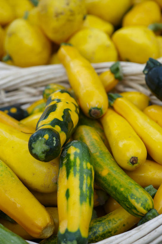 无人,竖图,俯视,室外,白天,萝卜,胡萝卜,土豆,袋子,加拿大,一堆,许多,阴影,堆叠,堆积,光线,影子,两个,黄色,阳光,堆,北美,北美洲,美洲,多伦多,省会,北亚美利加洲,亚美利加洲,安大略省,安省,北方好莱坞,多伦多市,芋艿,洋芋,山药蛋,马铃薯,红萝卜,甘荀,彩图,高角度拍摄