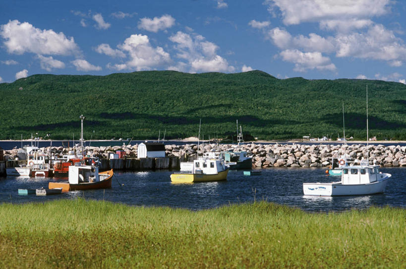 无人,栏杆,横图,室外,白天,正面,旅游,度假,草地,草坪,美景,森林,山,山脉,树林,植物,加拿大,许多,阴影,光线,影子,景观,山峰,云,云朵,围栏,船只,山峦,云彩,娱乐,护栏,草,树,树木,蓝色,绿色,白云,蓝天,天空,阳光,自然,群山,天,享受,休闲,景色,放松,生长,成长,连绵,北美,北美洲,绵延,自然风光,美洲,北亚美利加洲,亚美利加洲,联贯,彩图