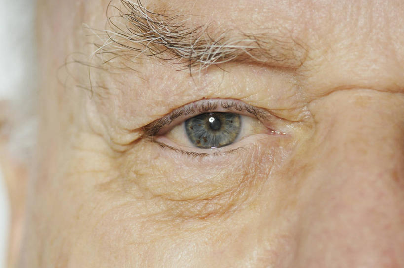 西方人,脸,头,眼睛,脸颊,眉毛,睫毛,一个人,横图,室内,特写,白天,白色背景,正面,欧洲,欧洲人,瞳孔,仅一个男性,仅一个人,阴影,光线,影子,灯光,仅一个老年男性,眼部,摄影,影棚,苍老,衰老,朽迈,老年男性,男人,男性,白种人,头部,睫,脸部,脸蛋,眉,面部,眼,眼睫毛,眼眉,半身,彩图,影棚拍摄,拍摄,眼眉毛