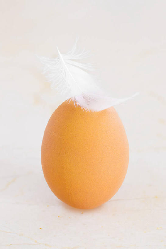 无人,竖图,俯视,室内,特写,白天,白色背景,破碎,蛋,鸡蛋,一个,摄影,影棚,单个,放置,搁置,安排,破裂,摧毁,草鸡蛋,卵,彩图,高角度拍摄,影棚拍摄,拍摄