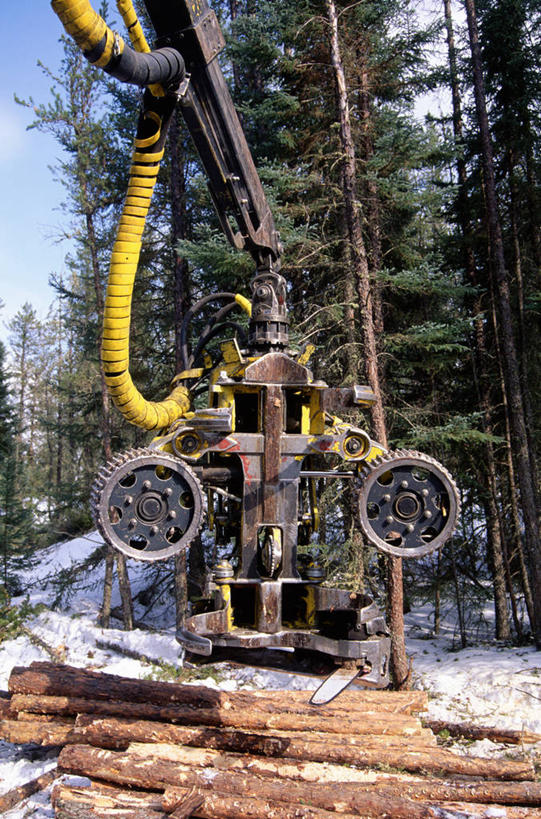 无人,竖图,室外,白天,正面,旅游,度假,技术,美景,森林,树林,雪,植物,大雪,建筑,加拿大,阴影,光线,木材,影子,积雪,景观,雪景,冬季,冬天,娱乐,设备,木柴,树,树木,施工,蓝色,绿色,蓝天,天空,阳光,自然,天,享受,休闲,机械,起重机,景色,放松,寒冷,木料,生长,晴朗,成长,工程,北美,北美洲,自然风光,美洲,万里无云,北亚美利加洲,亚美利加洲,严寒,晴空,晴空万里,彩图