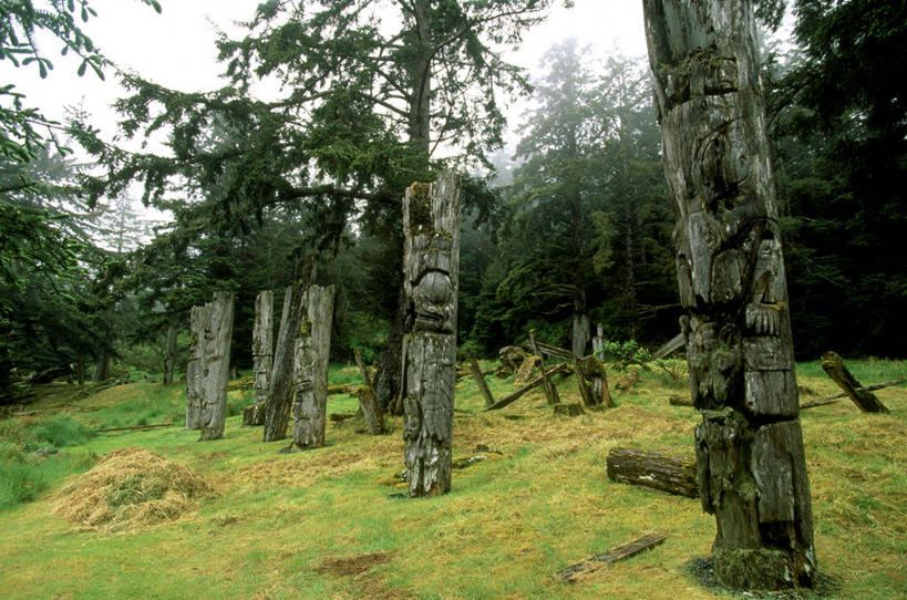 无人,横图,室外,白天,正面,草地,草坪,美景,植物,加拿大,一排,阴影,整齐,光线,影子,景观,树桩,枝条,草,树,树干,树木,树枝,排列,蓝色,绿色,蓝天,天空,阳光,自然,天,木桩,景色,茂盛,生长,成长,繁茂,北美,北美洲,队列,自然风光,美洲,北亚美利加洲,亚美利加洲,兴旺,昌盛,卑诗省,不列颠哥伦比亚,不列颠哥伦比亚省,夏洛特皇后群岛,虬枝,枝杈,昌隆,畅旺,发达,蕃芜,繁盛,富强,隆盛,蓬勃,旺盛,兴隆,兴盛,郁勃,彩图,卑斯省