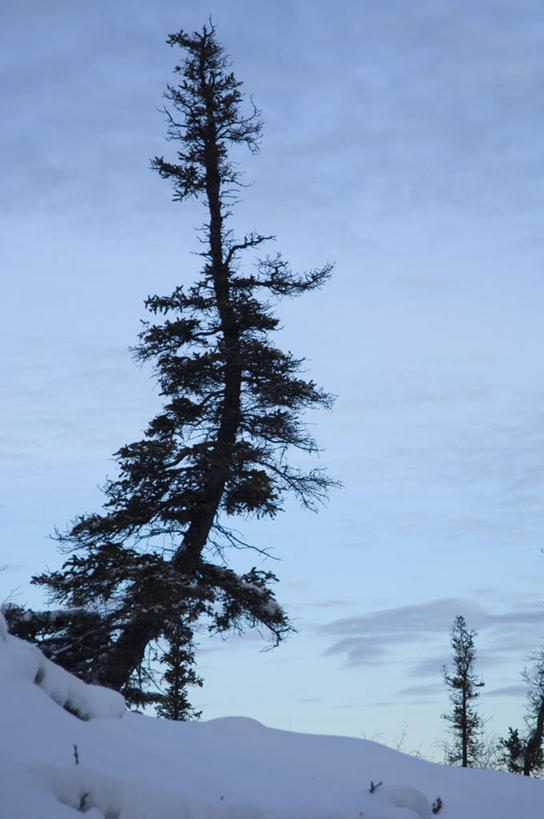 无人,竖图,室外,白天,正面,石头,美景,山,雪,雪山,植物,大雪,加拿大,阴影,光线,石子,影子,冰,积雪,景观,山峰,雪景,云,云朵,冬季,冬天,山峦,云彩,树,树木,蓝色,绿色,白云,蓝天,天空,阳光,自然,天,景色,寒冷,生长,晴朗,成长,冰冷,北美,北美洲,自然风光,美洲,首府,北亚美利加洲,亚美利加洲,严寒,冰凉,酷寒,凛冽,凛凛,极冷,西北地区,耶罗纳夫,耶洛奈夫,石块,岩石,晴空,彩图,黄刀镇