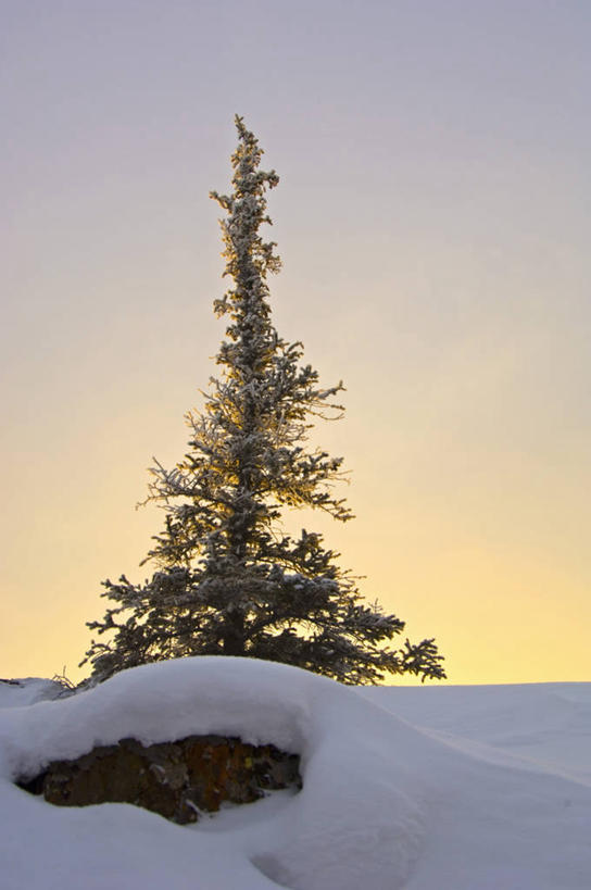 无人,竖图,室外,白天,仰视,石头,美景,日落,山,山脉,雪,植物,大雪,加拿大,一堆,阴影,堆叠,堆积,光线,石子,影子,积雪,景观,山峰,晚霞,霞光,雪景,冬季,冬天,落日,山峦,树,树木,蓝色,绿色,蓝天,天空,阳光,自然,黄昏,群山,天,景色,彩霞,寒冷,生长,成长,堆,北美,北美洲,自然风光,美洲,首府,北亚美利加洲,亚美利加洲,严寒,西北地区,耶罗纳夫,夕照,耶洛奈夫,石块,岩石,夕阳,彩图,低角度拍摄,黄刀镇,斜阳