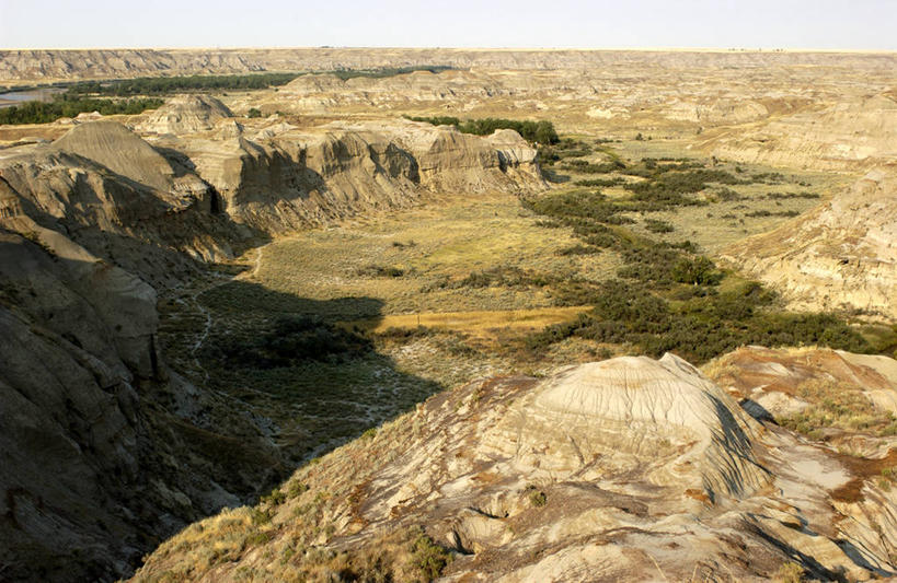 无人,公园,横图,俯视,室外,白天,旅游,度假,草地,草坪,石头,美景,植物,加拿大,阴影,粗糙,光线,石子,影子,景观,悬崖,娱乐,草,蓝色,绿色,蓝天,天空,阳光,自然,天,享受,休闲,陡峭,景色,放松,高低,凹凸,毛糙,北美,北美洲,自然风光,美洲,阿尔伯塔省,阿尔伯塔,北亚美利加洲,亚美利加洲,绝壁,艾伯塔,艾伯塔省,笔陡,峻峭,亚伯达,省立恐龙公园,石块,岩石,彩图,高角度拍摄,阿尔伯塔省恐龙公园,阿省,艾省,亚伯达省,亚省,粗拙
