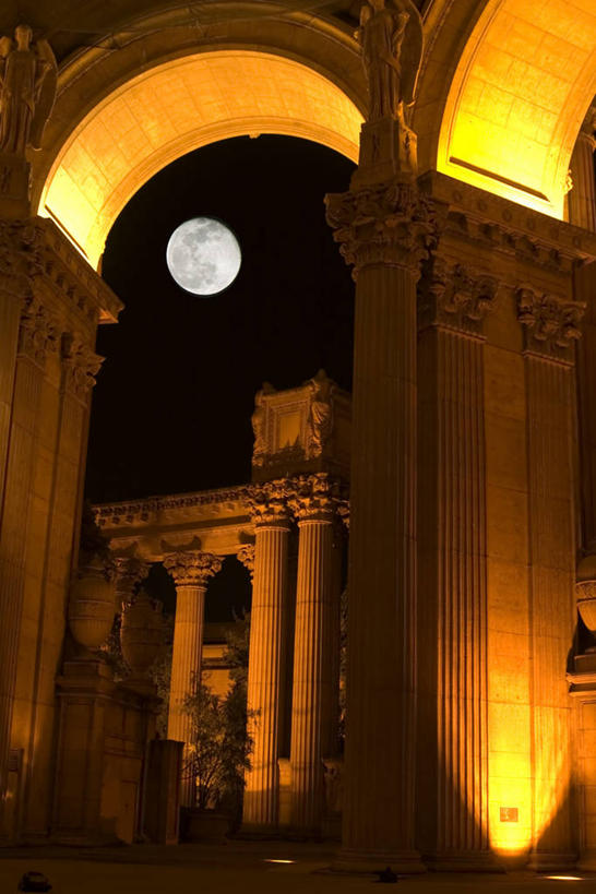 无人,竖图,室外,夜晚,仰视,旅游,度假,名胜古迹,植物,标志建筑,城市,地标,建筑,美国,遗迹,柱子,月亮,月光,古迹,历史,文物,娱乐,建设,古建筑,特色,树,树木,古代,绿色,自然,享受,休闲,旅游胜地,放松,生长,成长,明亮,北美,北美洲,风格,加利福尼亚,美洲,古文明,旧金山,加州,加利福尼亚州,圣弗朗西斯科,三藩市,金州,黄金州,北亚美利加洲,亚美利加洲,皎洁,古远,气势,格调,派头,气概,作风,特点,特性,特征,彩图,低角度拍摄