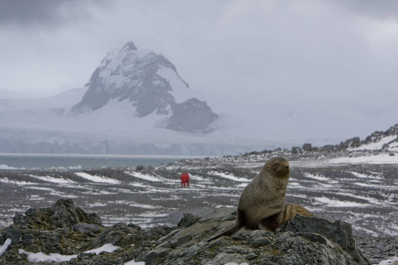 无人,横图,室外,白天,侧面,旅游,度假,岛屿,石头,美景,山,雪,雪山,大雪,哺乳动物,野生动物,粗糙,平静,石子,冰,岛,积雪,景观,山峰,乌云,悬崖,雪景,云,阴天,云朵,冬季,冬天,山峦,云彩,注视,娱乐,一只,天空,自然,动物,天,观察,看,趴着,享受,休闲,陡峭,景色,安静,放松,高低,寒冷,可爱,栖息,活泼,观看,宁静,凹凸,察看,冰冷,毛糙,昏暗,阴沉,关注,静谧,自然风光,南极洲,海狗,严寒,冰凉,沉静,酷寒,凛冽,凛凛,极冷,绝壁,恬静,安祥,僻静,清静,太平,格雷厄姆地,南极半岛,南极大陆,帕默半岛,笔陡,峻峭,南设得兰群岛,栖身,腽肭兽,海熊,英属南极领地,半月岛,列岛,群岛,石块,岩石,诸岛,趴,彩图,全身,粗拙