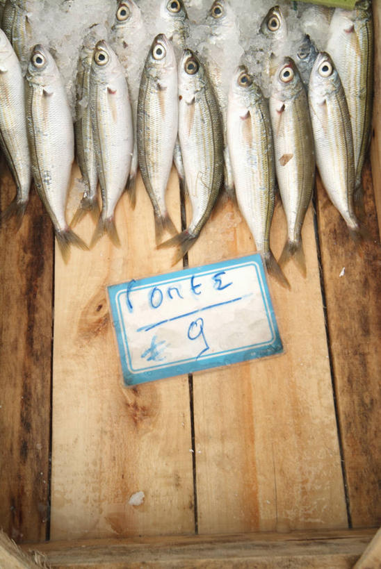 海鲜,无人,竖图,俯视,室内,白天,一堆,许多,阴影,堆叠,堆积,反射,鱼,标牌,木盒,影子,水产,鱼类,海洋生物,一个,堆,死亡,水生动物,海产品,水生物,海底动物,殒命,灭亡,彩图,高角度拍摄,全身