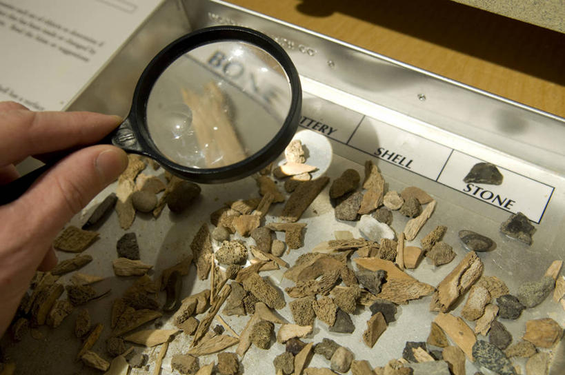 西方人,手,骨骼,一个人,博物馆,横图,俯视,室内,特写,白天,度假,仪器,美景,城市风光,城市,欧洲,美国,欧洲人,仅一个男性,仅一个人,仅一个中年男性,握,阴影,检查,研究,反射,分析,科学,化石,放大镜,影子,景观,骨头,教育,拿,拿着,注视,娱乐,观察,看,享受,休闲,手部,景色,放松,清晰,探索,握着,放大,观看,展览,单手,仔细,透镜,骨架,察看,北美,凸透镜,北美洲,聚焦,关注,欣赏,美洲,陈列,光学,北亚美利加洲,亚美利加洲,清楚,北达科他,北达科他州,苏族之州,金翼啄木鸟尾之州,典藏,男人,男性,中年男性,白种人,半身,彩图,高角度拍摄,彭比纳县