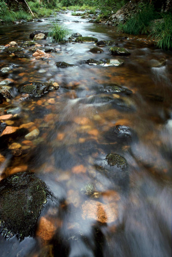 无人,竖图,俯视,室外,特写,白天,旅游,度假,草地,草坪,河流,石头,美景,水,植物,加拿大,阴影,朦胧,模糊,粗糙,湍急,光线,石子,影子,河水,景观,水流,娱乐,草,树,树木,绿色,小溪,阳光,自然,溪水,享受,休闲,景色,放松,生长,成长,毛糙,北美,北美洲,自然风光,美洲,新斯科舍,北亚美利加洲,亚美利加洲,新斯科舍省,石块,岩石,彩图,高角度拍摄,诺省,斯高沙省,新省,新斯高沙省,新斯科细亚省,粗拙