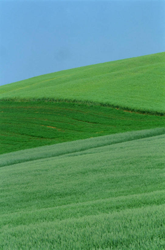 无人,农田,竖图,室外,白天,正面,旅游,度假,庄稼,农作物,美景,加拿大,阴影,光线,影子,地平线,景观,辽阔,地面,娱乐,蓝色,绿色,蓝天,天空,阳光,自然,天,享受,休闲,广阔,景色,放松,晴朗,一望无际,北美,北美洲,自然风光,延伸,美洲,万里无云,天地相交,北亚美利加洲,亚美利加洲,马尼托巴,马尼托巴省,曼尼托巴省,无边无际,一马平川,晴空,晴空万里,彩图,耕地,庄稼田,曼省,缅尼托巴省,缅省