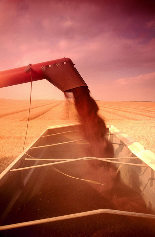 无人,农田,竖图,室外,白天,正面,旅游,度假,庄稼,农作物,美景,日落,摆设,环保,景观,晚霞,霞光,云,云朵,落日,垃圾桶,云彩,尘埃,娱乐,设备,红色,白云,自然,黄昏,容器,享受,休闲,景色,彩霞,放松,能源,储藏,垃圾箱,回收,灰尘,尘土,资源,储存,自然风光,装备,利用,低碳,循环,持续,夕照,设置,夕阳,彩图,耕地,庄稼田,贮存,斜阳