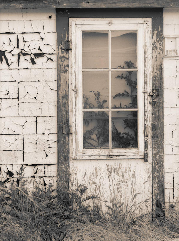 无人,家,竖图,室外,白天,正面,草地,草坪,植物,门,阴影,破旧,陈旧,平静,光线,影子,房屋,屋子,破坏,楼房,破损,住宅,草,绿色,阳光,门框,安静,宁静,损坏,荒废,静谧,沉静,恬静,安祥,僻静,清静,太平,荒疏,旷废,旷费,疏弃,芜秽,荒芜,彩图,房子