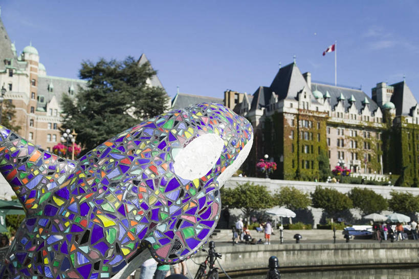 无人,家,横图,室外,白天,正面,度假,河流,美景,水,城市风光,城市,道路,路,公路,汽车,哺乳动物,鲸鱼,雕塑,加拿大,艺术,装饰,虎鲸,杀人鲸,雕刻,雕像,房屋,屋子,河水,景观,水流,云,云朵,交通,云彩,娱乐,楼房,海洋生物,住宅,车,蓝色,白云,蓝天,天空,动物,工艺品,交通工具,轿车,天,享受,休闲,景色,放松,鲸,晴朗,纪念,美术,北美,北美洲,载具,水生动物,主题,美洲,水生物,凶猛,陈列,海底动物,逆戟鲸,省会,功能,美学,北亚美利加洲,亚美利加洲,鲸类,卑诗省,不列颠哥伦比亚,不列颠哥伦比亚省,维多利亚,残暴,凶残,晴空,马路,彩图,房子,卑斯省,皇后酒店