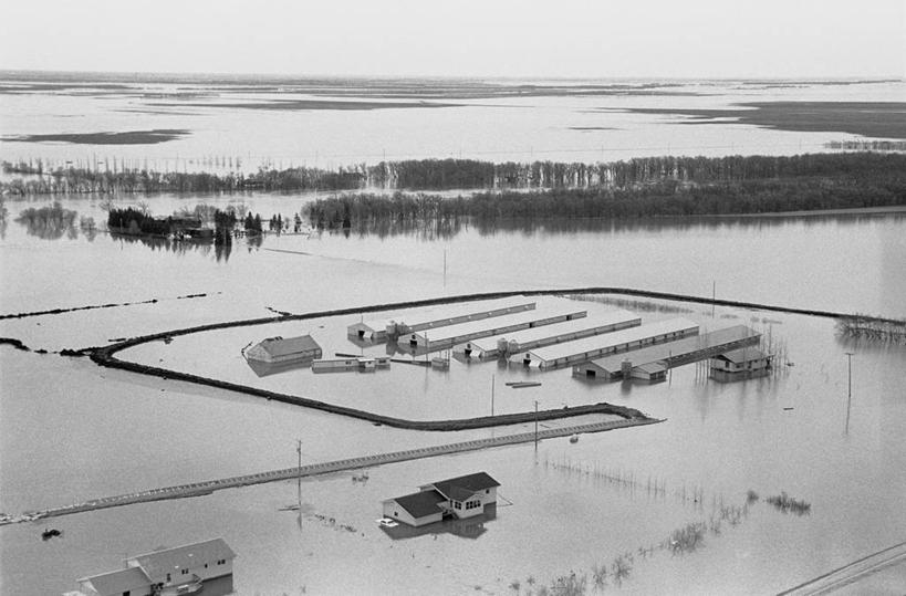 无人,家,横图,俯视,航拍,黑白,室外,白天,河流,树林,水,植物,加拿大,房屋,屋子,地平线,河水,水流,辽阔,地面,楼房,住宅,树,树木,绿色,自然,广阔,生长,成长,一望无际,北美,北美洲,鸟瞰,灾难,延伸,美洲,天地相交,北亚美利加洲,亚美利加洲,马尼托巴,马尼托巴省,曼尼托巴省,劫难,磨难,无边无际,一马平川,灾祸,大水,洪水,高角度拍摄,房子,曼省,缅尼托巴省,缅省,灾害