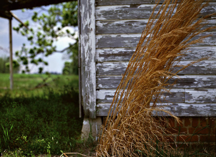 无人,家,横图,室外,白天,正面,旅游,度假,草地,草坪,美景,植物,美国,废弃,阴影,平静,光线,影子,房屋,屋子,景观,云,云朵,云彩,娱乐,楼房,住宅,草,树,树木,蓝色,绿色,白云,蓝天,天空,阳光,自然,天,享受,休闲,景色,安静,放松,生长,晴朗,成长,宁静,北美,北美洲,荒废,静谧,自然风光,美洲,密西西比州,北亚美利加洲,亚美利加洲,沉静,密西西比,木兰之州,恬静,安祥,僻静,清静,太平,荒疏,旷废,旷费,疏弃,芜秽,废除,荒芜,晴空,彩图,房子