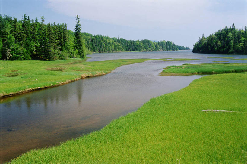 无人,横图,室外,白天,正面,旅游,度假,草地,草坪,河流,美景,水,植物,加拿大,阴影,平静,光线,影子,河水,景观,水流,云,云朵,云彩,娱乐,草,树,树木,蓝色,绿色,白云,蓝天,天空,阳光,自然,天,享受,休闲,景色,安静,放松,生长,晴朗,成长,宁静,北美,北美洲,静谧,自然风光,美洲,新斯科舍,北亚美利加洲,亚美利加洲,沉静,恬静,安祥,僻静,清静,太平,布雷顿角岛,新斯科舍省,晴空,彩图,诺省,斯高沙省,新省,新斯高沙省,新斯科细亚省
