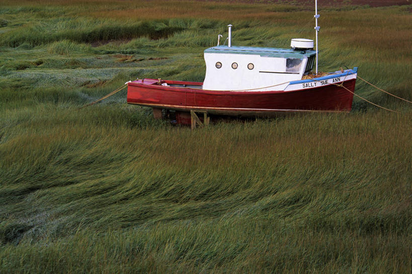 无人,横图,俯视,室外,白天,旅游,度假,草地,草原,美景,植物,轮船,船,加拿大,一艘,阴影,新鲜,光线,影子,景观,旷野,娱乐,草,绿色,阳光,自然,交通工具,享受,休闲,景色,放松,青春,北美,北美洲,生命,自然风光,载具,原野,美洲,和平,安详,新斯科舍,北亚美利加洲,亚美利加洲,冷色,新斯科舍省,彩图,高角度拍摄,诺省,斯高沙省,新省,新斯高沙省,新斯科细亚省,金斯县
