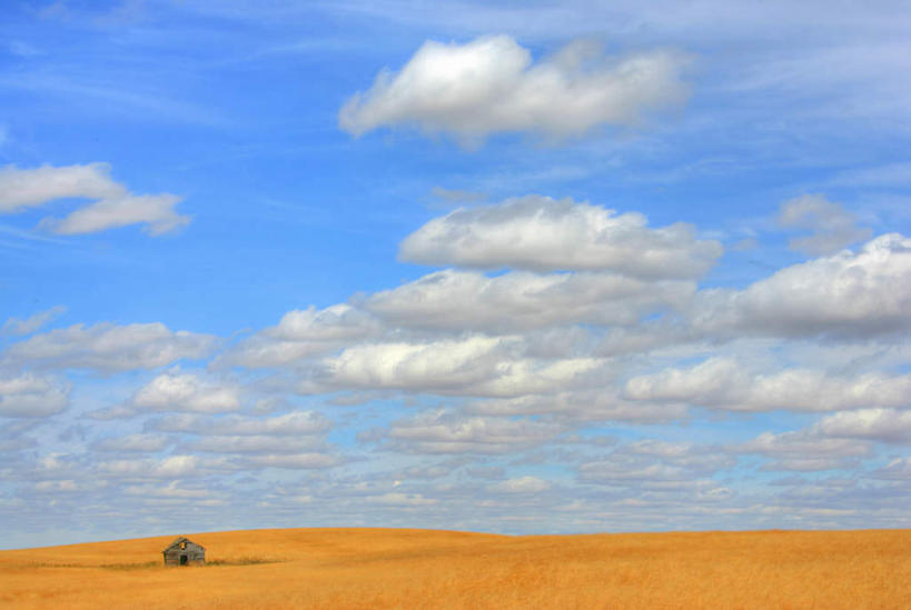 无人,横图,室外,白天,正面,旅游,度假,草地,草坪,美景,植物,加拿大,阴影,光线,影子,景观,云,云朵,云彩,娱乐,草,树,树木,蓝色,绿色,白云,蓝天,天空,阳光,自然,天,享受,休闲,景色,放松,生长,晴朗,成长,北美,北美洲,自然风光,美洲,北亚美利加洲,亚美利加洲,萨省,萨斯喀彻温省,晴空,彩图