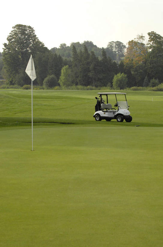 无人,竖图,室外,白天,正面,草地,草坪,植物,旗帜,一辆,阴影,光线,旗杆,影子,云,云朵,球场,云彩,高尔夫球场,草,树,树木,绿色,天空,阳光,自然,交通工具,天,生长,晴朗,成长,载具,高尔夫车,绿茵场,高尔夫球车,高尔夫观光车,高尔夫用品,晴空,彩图