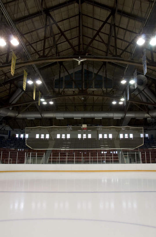 无人,体育馆,运动场,竖图,室内,白天,正面,窗户,加拿大,冰,体育场,玻璃窗,浮冰,寒冷,冰冷,北美,北美洲,美洲,多伦多,省会,北亚美利加洲,亚美利加洲,运动馆,严寒,冰凉,酷寒,凛冽,凛凛,极冷,流冰,浮冰块,安大略省,安省,北方好莱坞,多伦多市,彩图