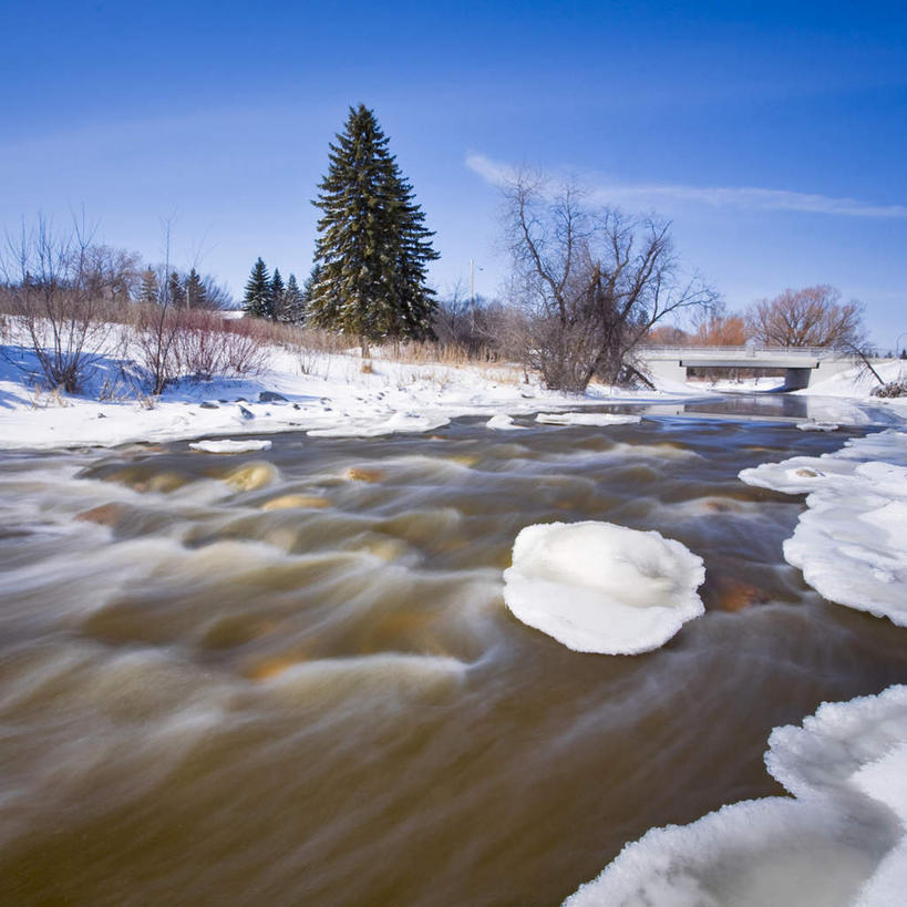 无人,方图,室外,白天,正面,旅游,度假,草地,草坪,美景,植物,加拿大,阴影,光线,影子,冰,景观,娱乐,草,树,树木,蓝色,绿色,蓝天,天空,阳光,自然,浮冰,天,享受,休闲,景色,放松,寒冷,生长,晴朗,成长,冰冷,北美,北美洲,自然风光,美洲,万里无云,省会,北亚美利加洲,亚美利加洲,严寒,冰凉,酷寒,凛冽,凛凛,极冷,流冰,浮冰块,马尼托巴,马尼托巴省,曼尼托巴省,温尼伯,晴空,晴空万里,彩图