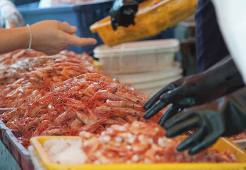 西方人,手,站,说,横图,室外,白天,侧面,讨论,欧洲,欧洲人,一堆,一排,握,阴影,堆叠,堆积,朦胧,模糊,整齐,光线,影子,虾,许多人,拿,拿着,买卖,排列,阳光,手套,站着,一群人,手部,生意,橡胶,握着,堆,交易,业务,队列,橡胶制品,斑节对虾,斑节虾,日本对虾,竹节虾,交流,白种人,沟通,讲话,交谈,商讨,说话,谈话,站立,半身,彩图