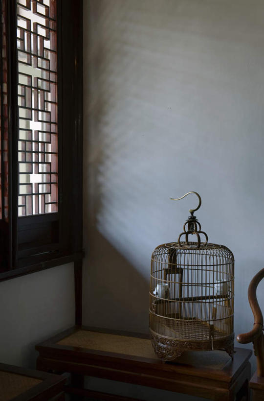 无人,竖图,室内,白天,正面,窗户,落地窗,加拿大,阴影,装饰,光线,木制,影子,墙,鸟笼,玻璃窗,墙壁,墙面,一个,阳光,木制品,单个,华丽,修饰,点缀,北美,北美洲,美洲,北亚美利加洲,亚美利加洲,衬托,美观,雅致,雅观,卑诗省,不列颠哥伦比亚,不列颠哥伦比亚省,温哥华,彩图